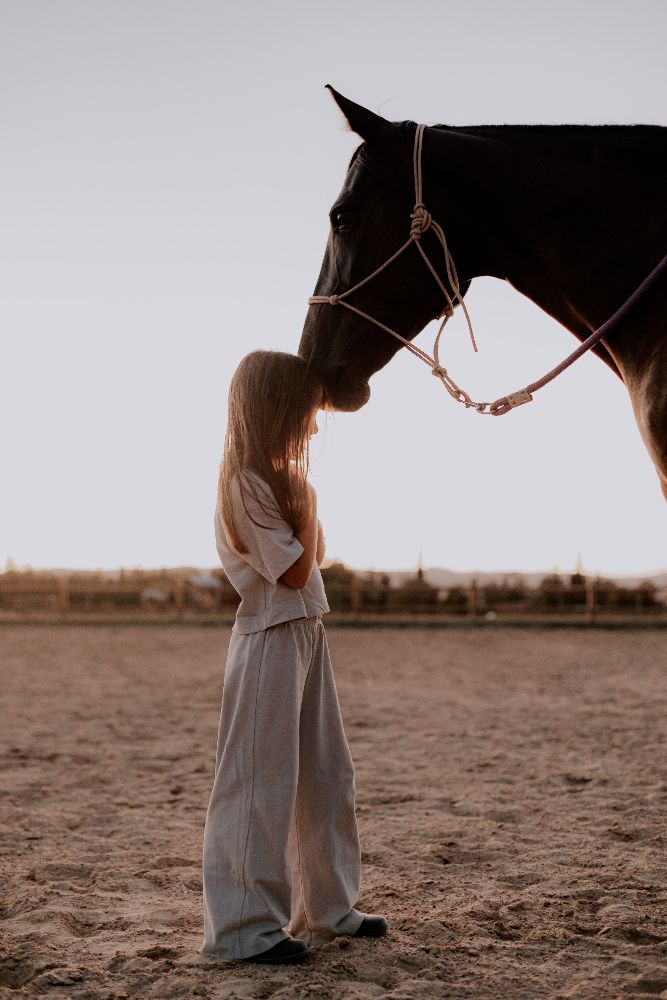 Une fillette face à son cheval, dans la lumière du soir